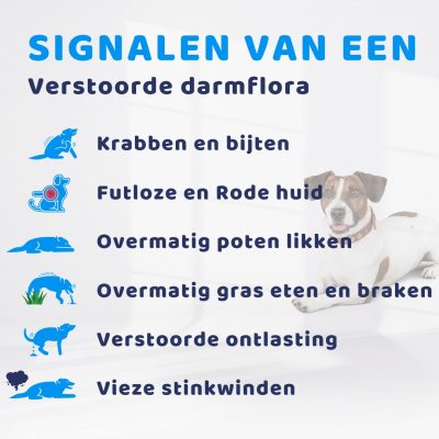 signalen van een verstoorde darmflora hond