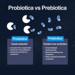 verschil tussen Pre en Probiotica