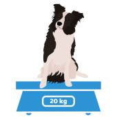 dosering hondensupplement gewicht hond 11 tot 25 kg