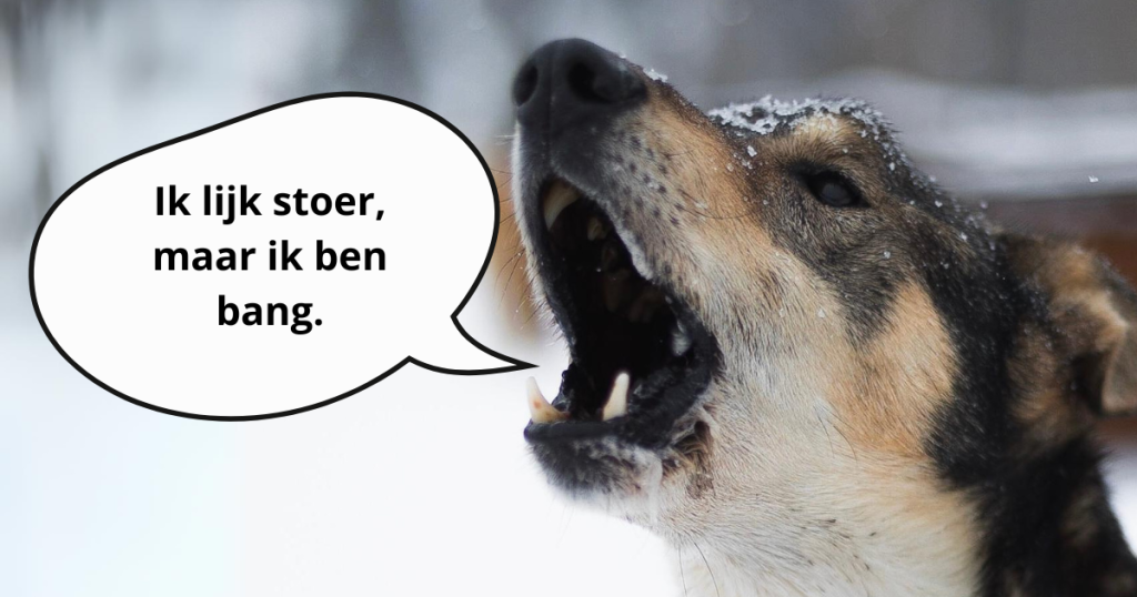 hond blijft blaffen angst