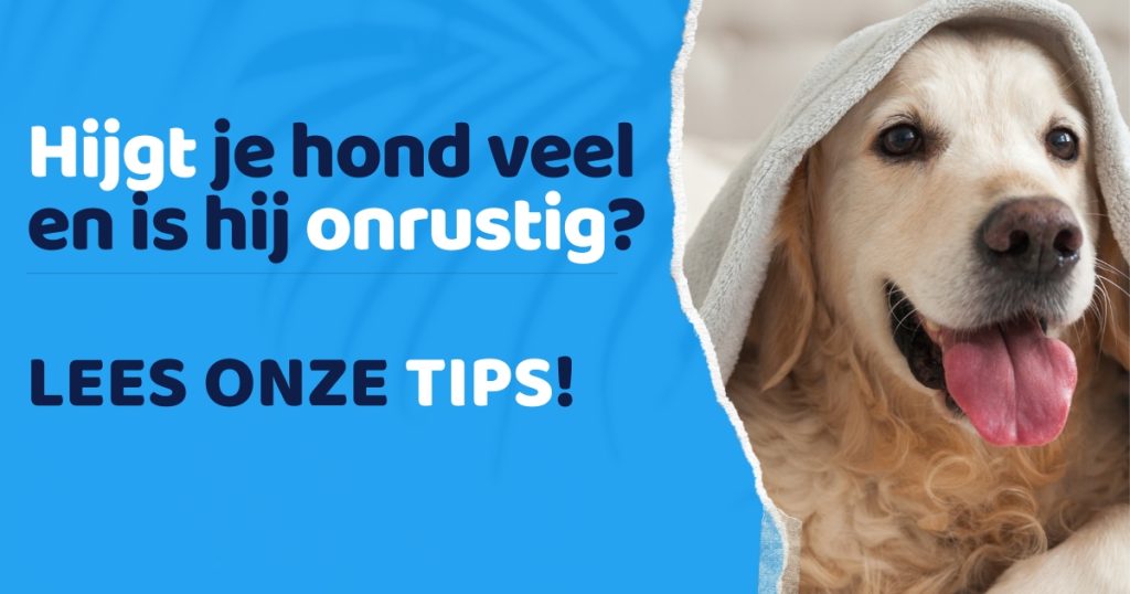 Hond hijgt veel en is onrustig