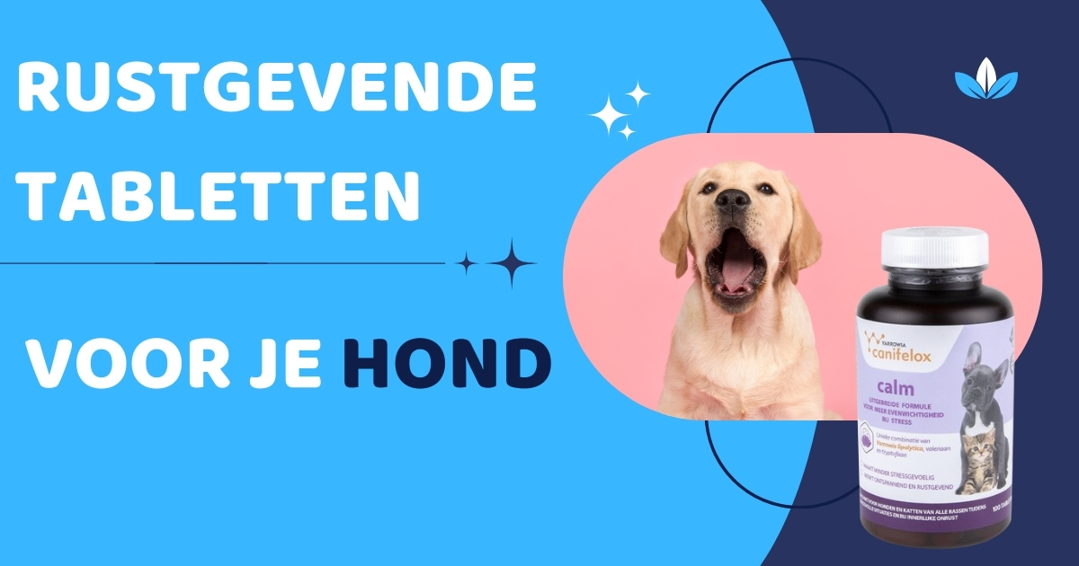 rustgevende tabletten hond