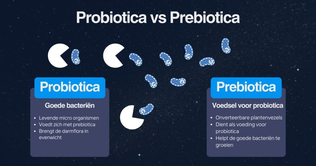 Verschil tussen Pre en Probiotica