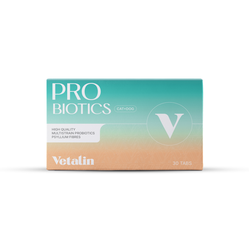Probiotica kauwtabletten hond Vetalin