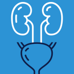 blaas en nieren supplementen hond