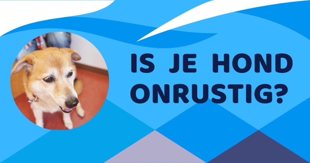 hond onrustig
