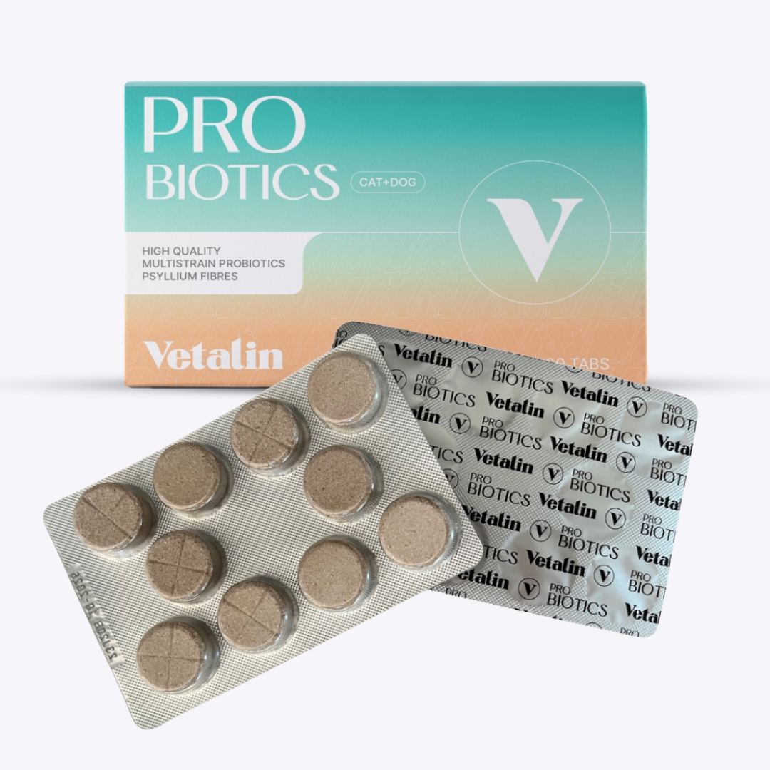 probiotica kauwtabletten hond