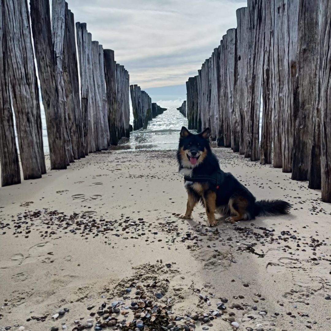 WhatsApp Image 2024-04-14 at 19.31.39