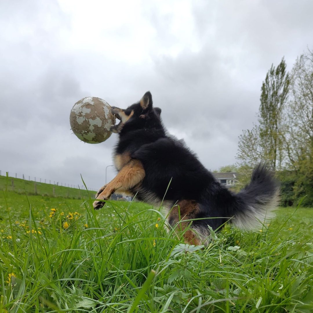 WhatsApp Image 2024-04-14 at 19.31.47