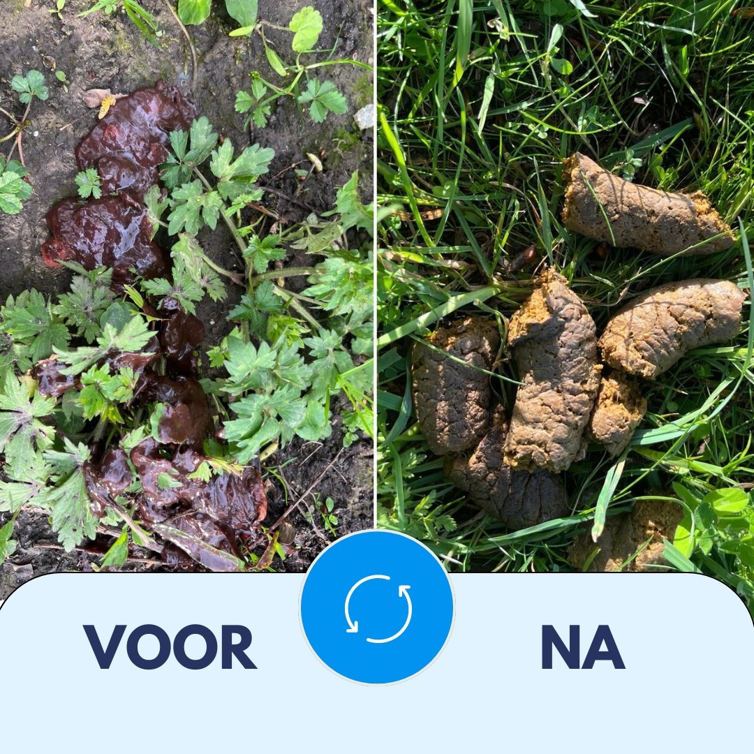 dunne ontlasting hond voor en na probiotica