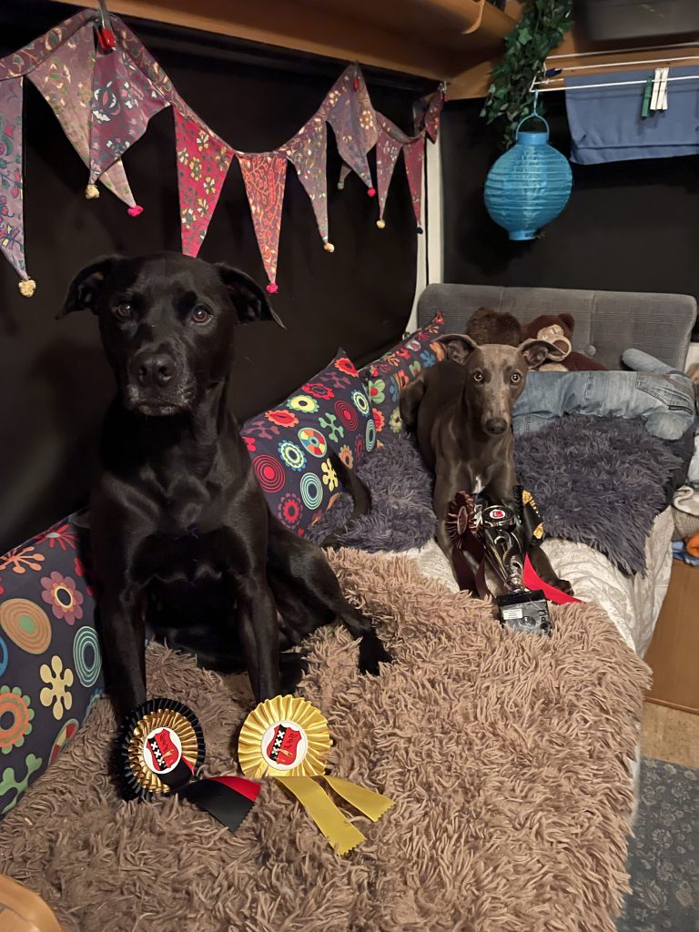 hond Clarence Meihuizen Van Rooijen