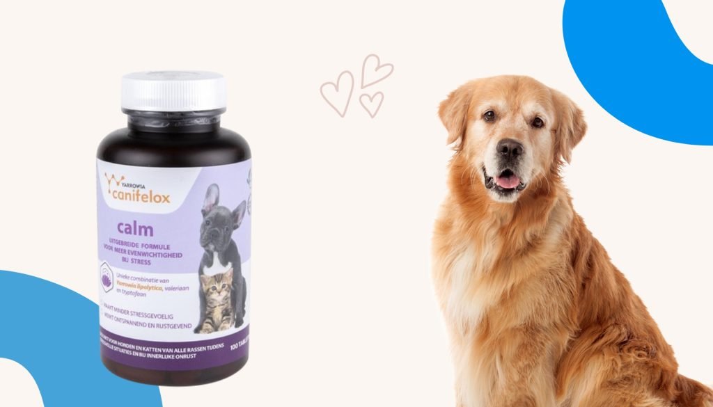 Natuurlijk kalmeringsmiddel hond