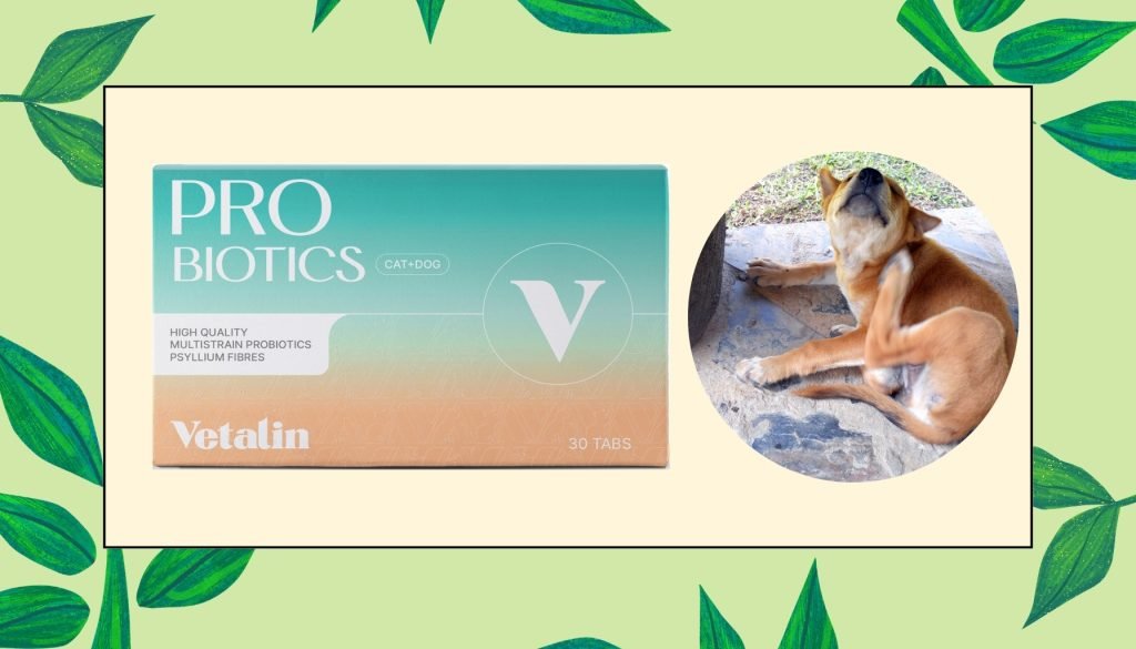 Natuurlijk middel tegen jeuk hond