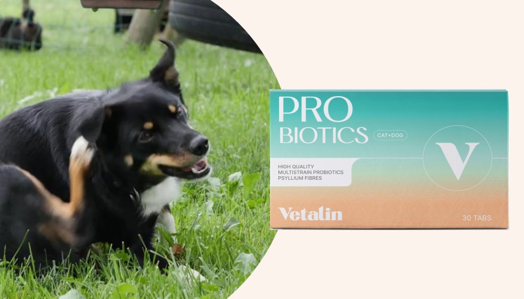 probiotica hond tegen jeuk